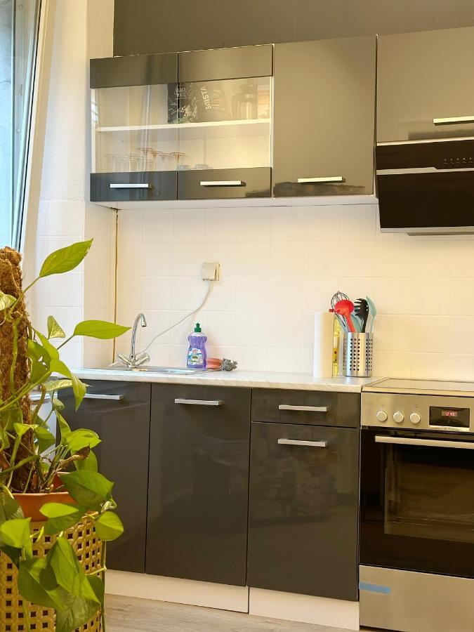 Igo Apartment 2 Schlafenzimmer Mit Waschmaschine Trockner Haustier Rheinufer 5Min Netflix Disney Plus 17-6 Duisburg Exterior foto